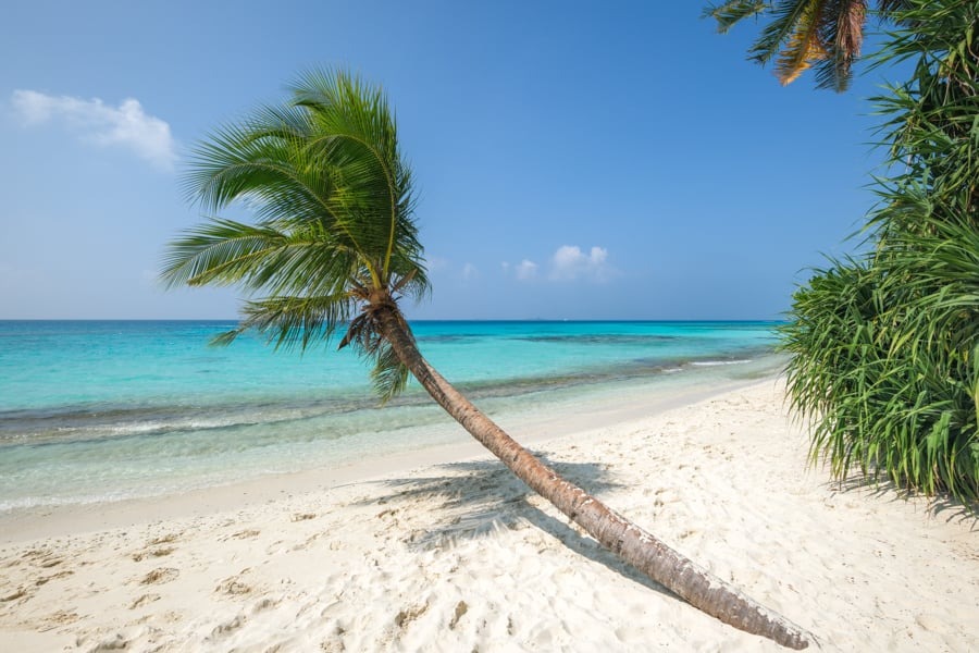 Unify Your Trip: The All-in-one travel booking platform Unify Your Trip: The All-in-one travel booking platform