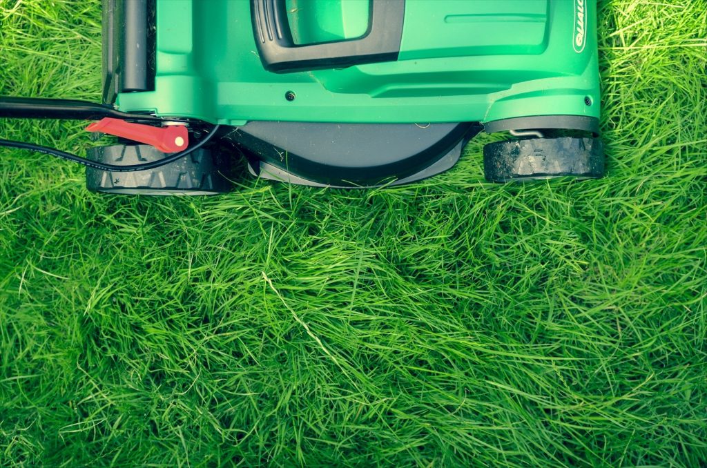 Green ways to keep Bristol blooms bright all year