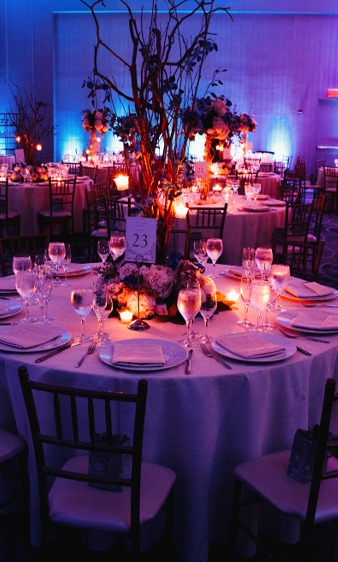 Captivating Audio and Light for Dubai Weddings Captivating Audio and Light for Dubai Weddings