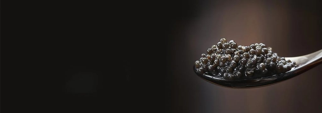 A Practical Guide to Olive Oil and Sevruga Flavor Pairings
