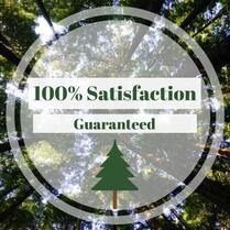 Practical Tree Care in Elk Grove: Trims and Removals Practical Tree Care in Elk Grove: Trims and Removals