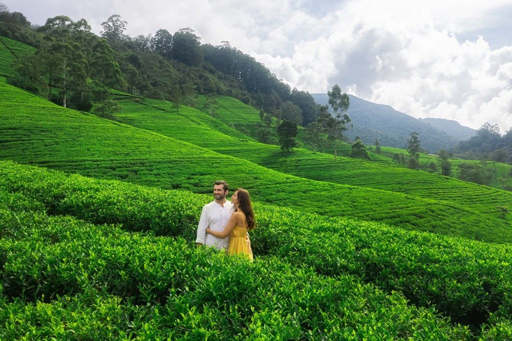 Best Tourist Attractions to Visit in Sri Lanka: A Lifelong Love Letter