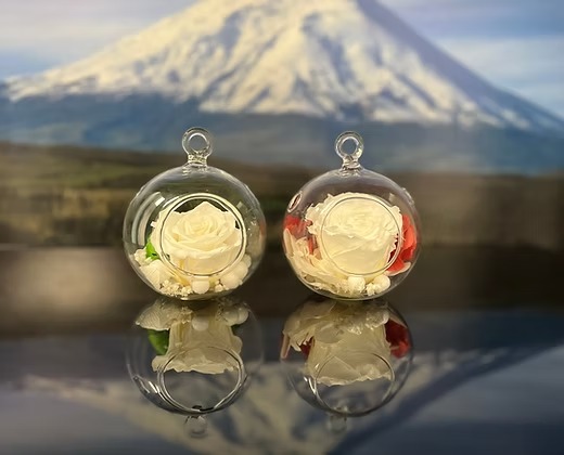 Heart Shaped Preserved Roses: A Rainbow of Forever Blooms Heart Shaped Preserved Roses: A Rainbow of Forever Blooms