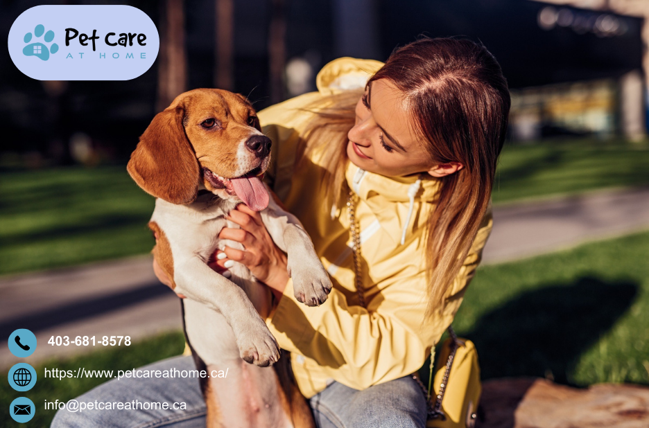 Compassionate pet care in Calgary with mobile support Compassionate pet care in Calgary with mobile support