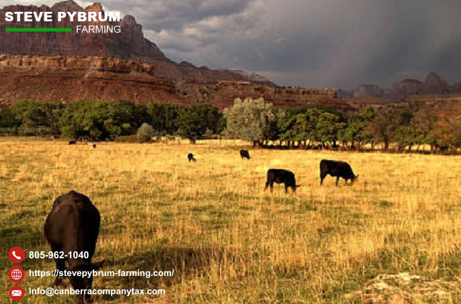 Trusted Tax Guidance for Farms and Ranches in Santa Maria Trusted Tax Guidance for Farms and Ranches in Santa Maria