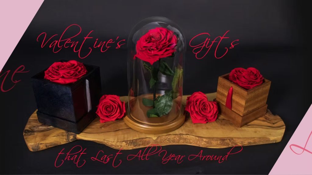 A Timeless Gift: Preserved Rose in Crystal Box A Timeless Gift: Preserved Rose in Crystal Box