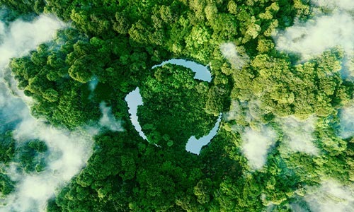 Gestión profesional de RAEE: servicios y cumplimiento ambiental Gestión profesional de RAEE: servicios y cumplimiento ambiental