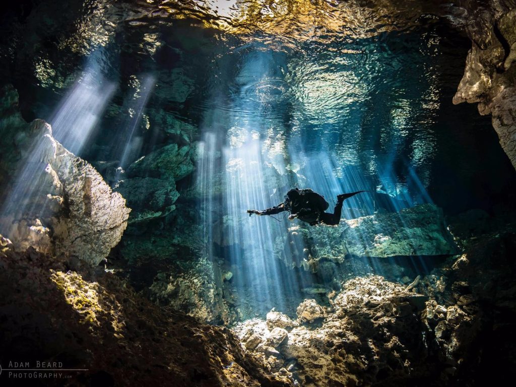 Exploring Subterranean Waters: A Diver’s Guide to Cenotes Exploring Subterranean Waters: A Diver’s Guide to Cenotes