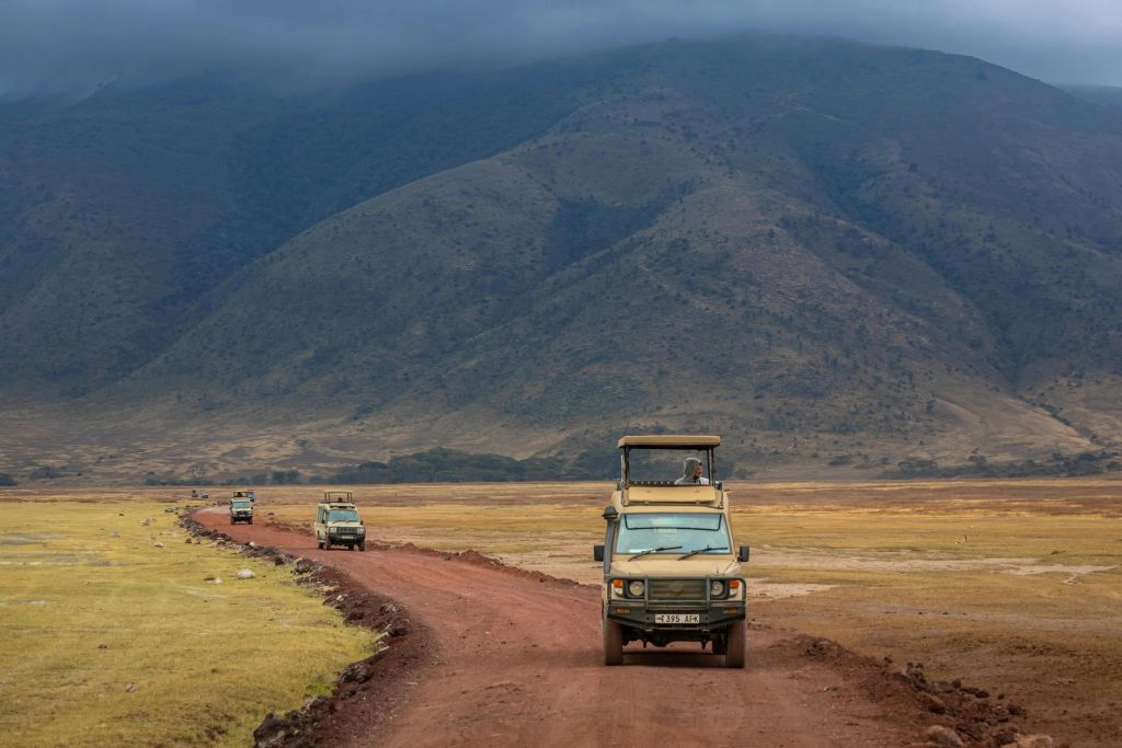 Iconic Tanzania adventures: expert guidance for unforgettable wildlife experiences