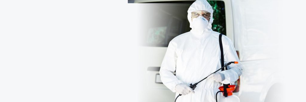 Effective Edmonton Bed Bug Solutions You Can Trust Effective Edmonton Bed Bug Solutions You Can Trust
