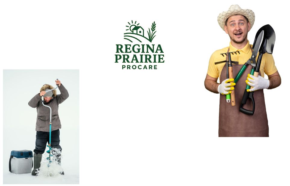 Trusted residential roof cleaning in Regina and practical bin care Trusted residential roof cleaning in Regina and practical bin care