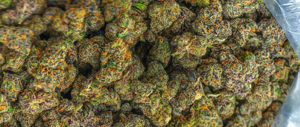 Your trusted cannabis delivery service in Houston and beyond Your trusted cannabis delivery service in Houston and beyond