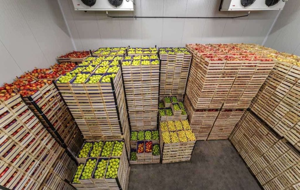 Reliable Chickpeas Suppliers: Sourcing Tips for Bulk Buyers