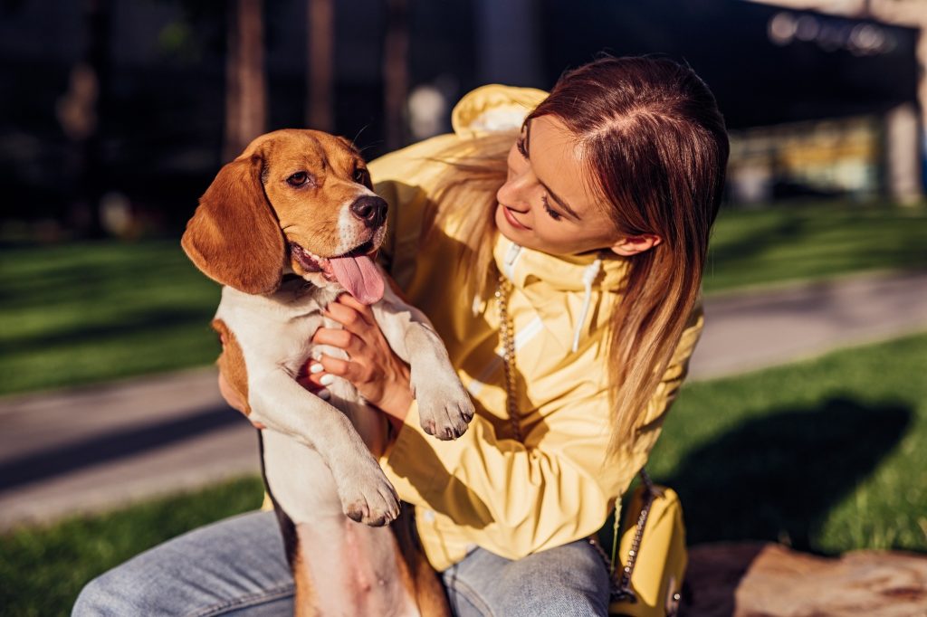 A calm, practical guide to saying goodbye at home