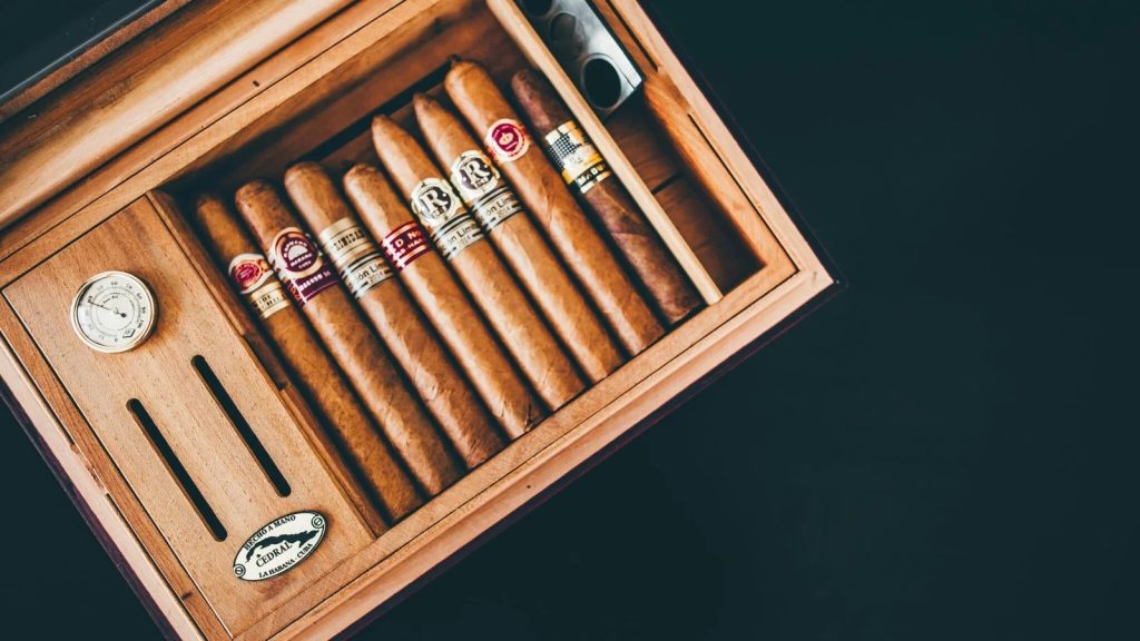 Cigar Aficionados: Delhi’s Finest Selections and Hidden Gems