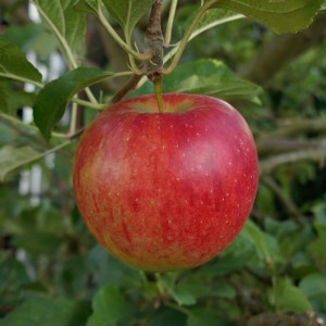 Choosing a Trusted Food Colour Supplier for Quality and Compliance Choosing a Trusted Food Colour Supplier for Quality and Compliance