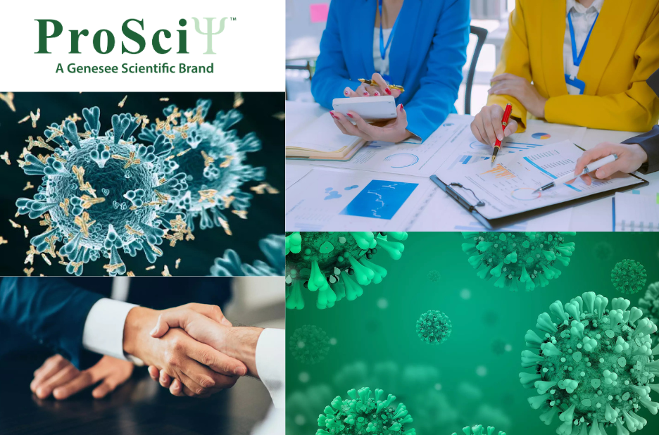 Tailored Assay Solutions for Your Research Goals Tailored Assay Solutions for Your Research Goals