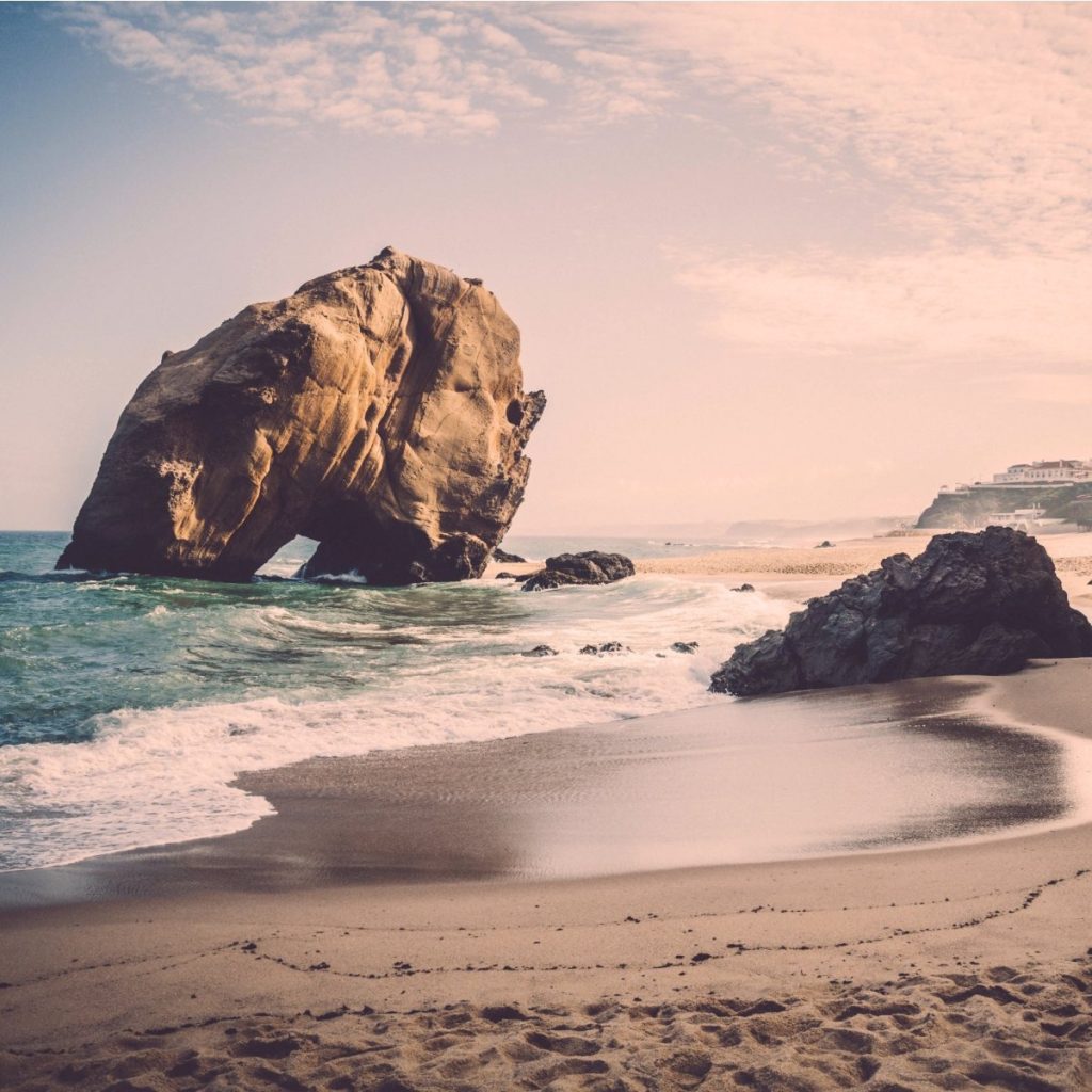 Discover Egypt’s wild wonders on a guided desert and Nile adventure