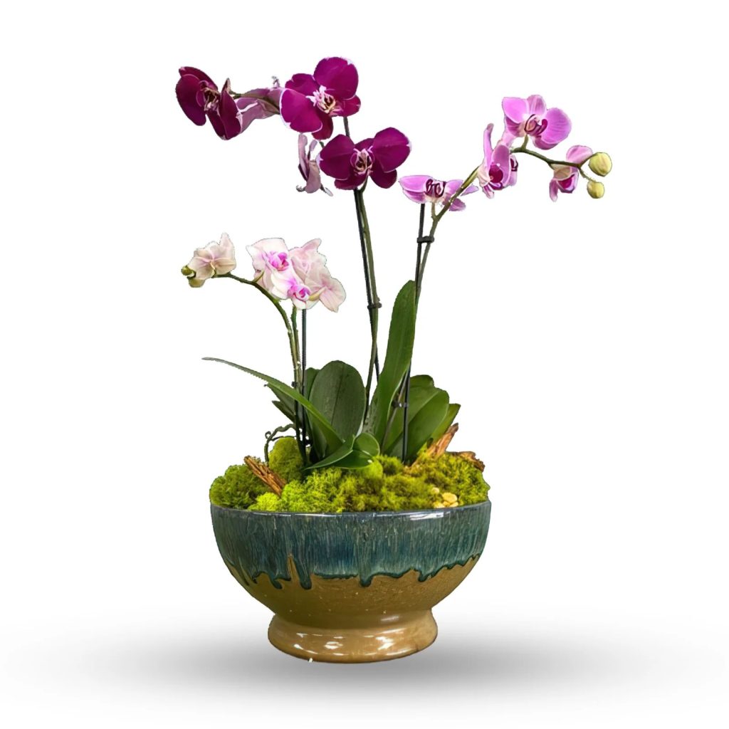 Reliable flower services for Marietta and Roswell