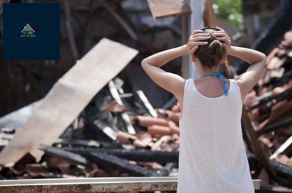 Essential Guide to Water Damage and Mold Cleanup in NYC Essential Guide to Water Damage and Mold Cleanup in NYC