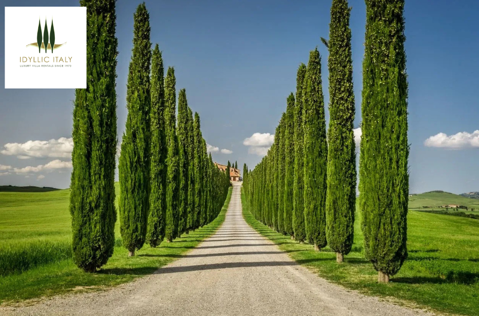 Discover Rustic Luxury: Charming Villas in Lucca, Tuscany Discover Rustic Luxury: Charming Villas in Lucca, Tuscany
