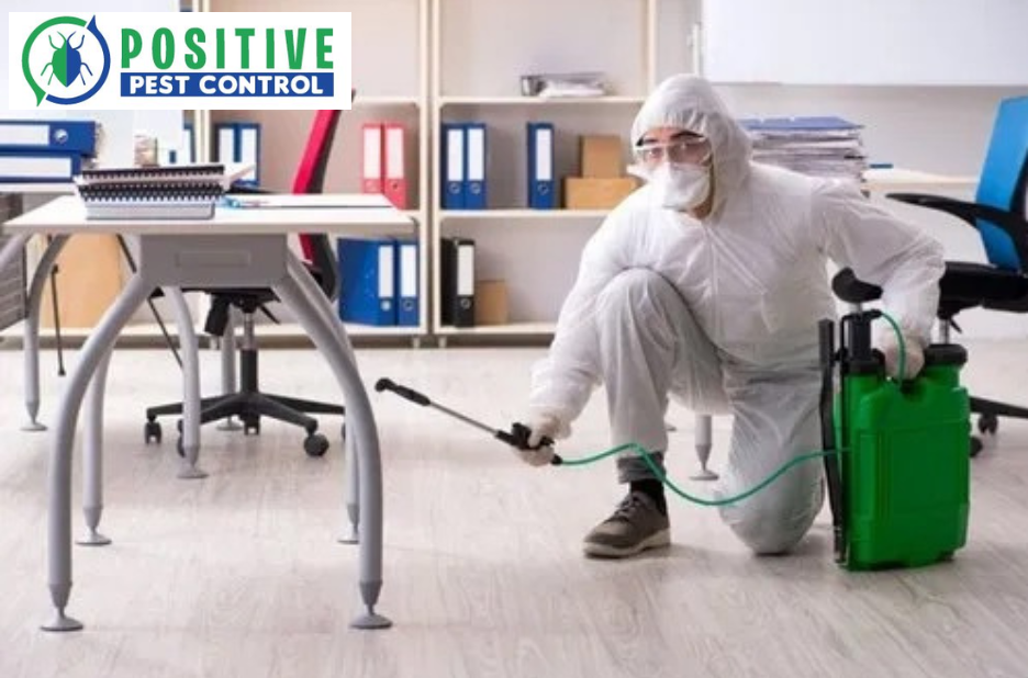 Effective Solutions for Calgary Rodent Issues Effective Solutions for Calgary Rodent Issues