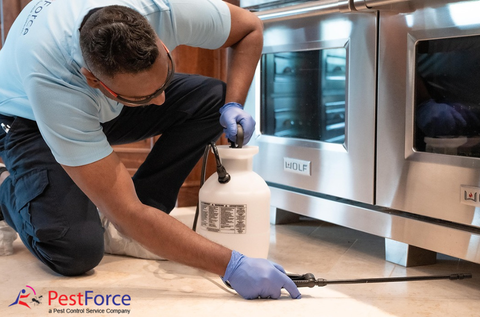 Effective Pest Control for a Safer, Sleep-Easy Home Effective Pest Control for a Safer, Sleep-Easy Home