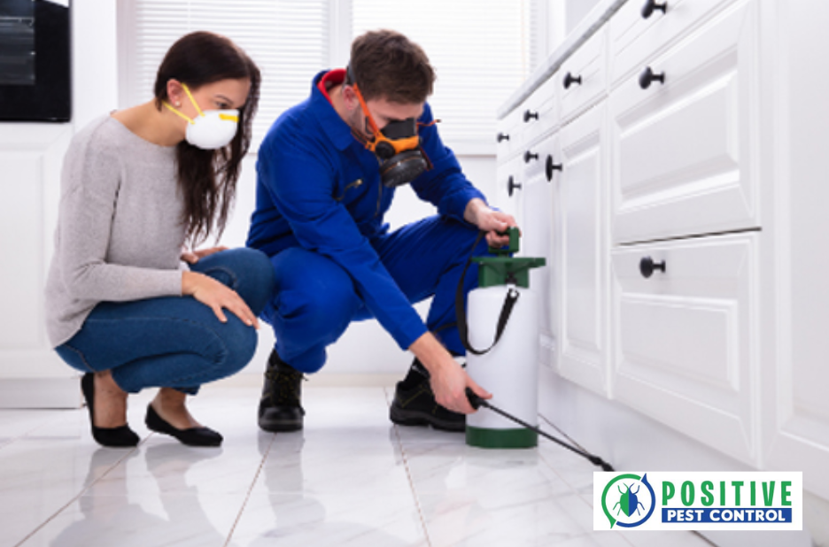 Effective Pest Management for Calgary Homes and Businesses Effective Pest Management for Calgary Homes and Businesses