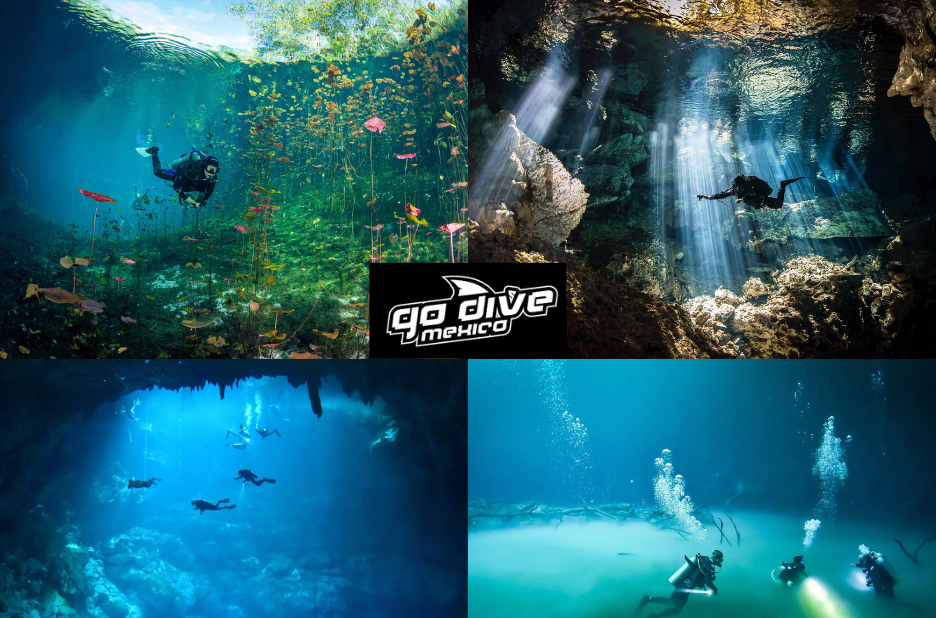 Discovering Yucatán Cenotes: A Diver’s Essential Guide Discovering Yucatán Cenotes: A Diver’s Essential Guide
