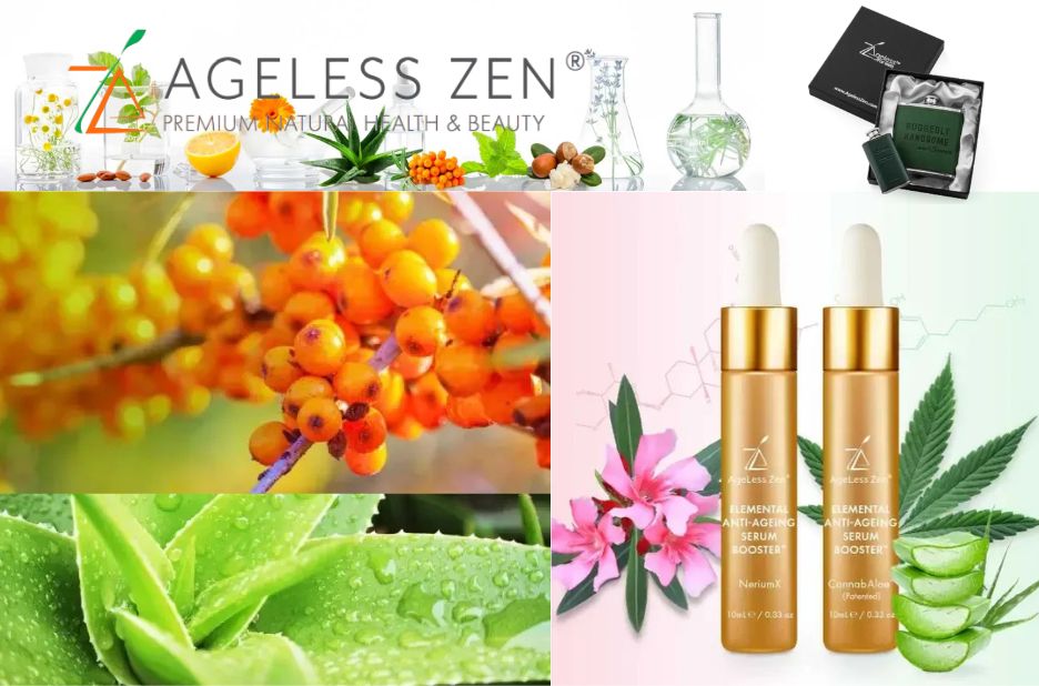 A practical guide to skincare routines for daily balance A practical guide to skincare routines for daily balance