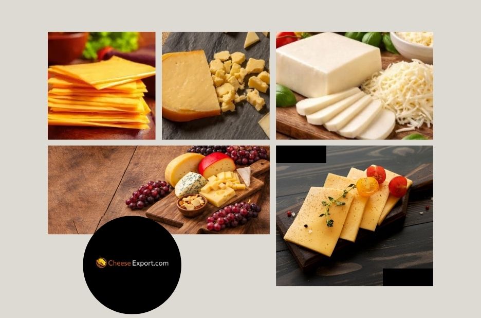 Top B2B Cheese Suppliers for Reliable International Cheese Distribution Top B2B Cheese Suppliers for Reliable International Cheese Distribution