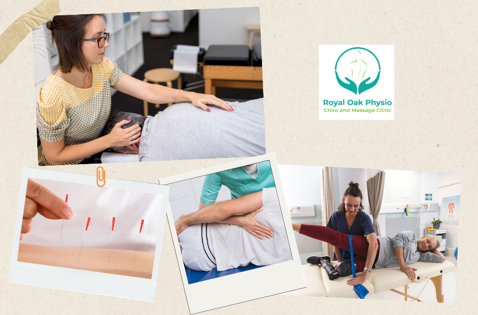 Chiropractic and Physiotherapy Care in Royal Oak Calgary Chiropractic and Physiotherapy Care in Royal Oak Calgary