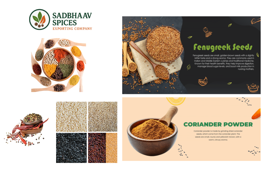 Smooth pathways for coriander trade from India to world Smooth pathways for coriander trade from India to world