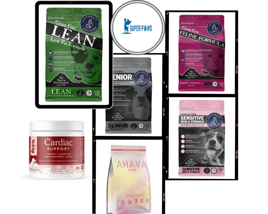 Wellbeing from Within: A Holistic Approach for Everyday Life