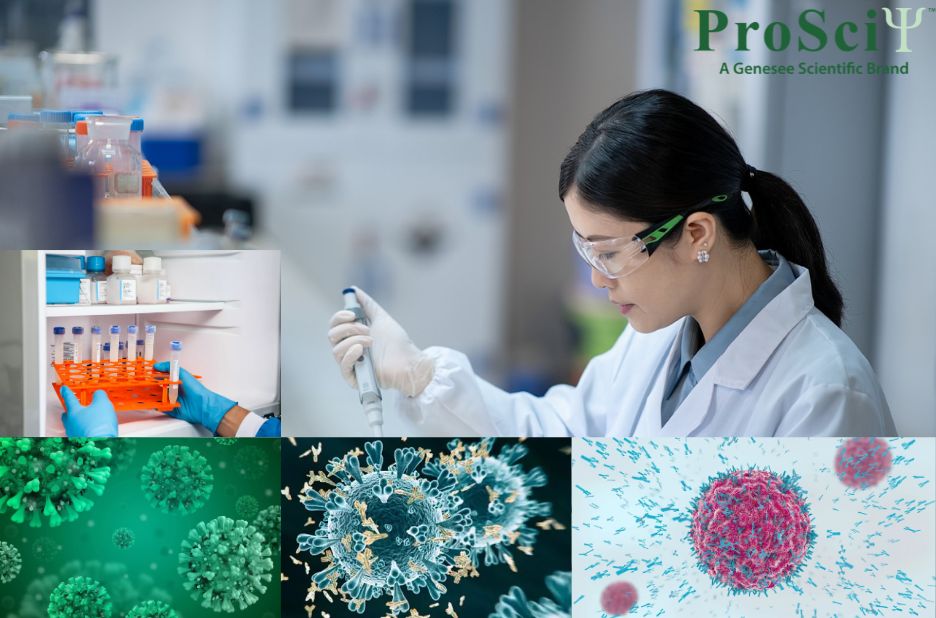 Understanding Antibody Types for Reliable Research Understanding Antibody Types for Reliable Research