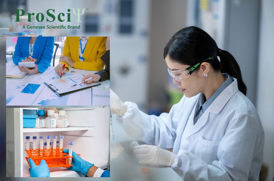 Tailored Antibody Development and Discovery Solutions Tailored Antibody Development and Discovery Solutions