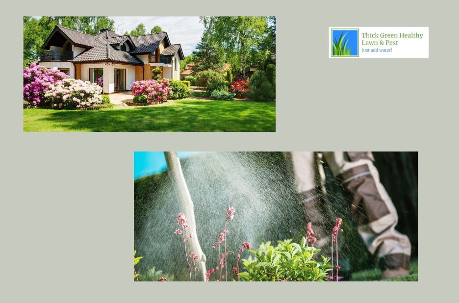 Trusted Local Lawn Care for Beautiful, Healthy Green Spaces Trusted Local Lawn Care for Beautiful, Healthy Green Spaces