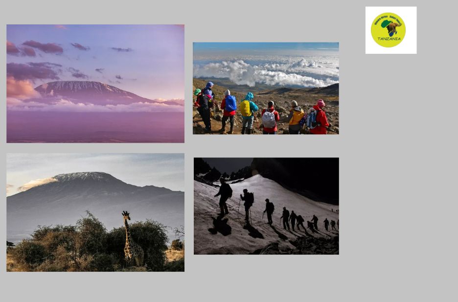 Plan your perfect adventure with tailored safari tours Plan your perfect adventure with tailored safari tours