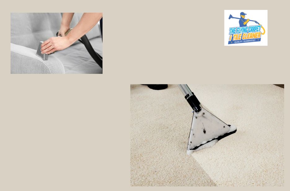 Reliable Cleaning Solutions for Perth Homes Reliable Cleaning Solutions for Perth Homes