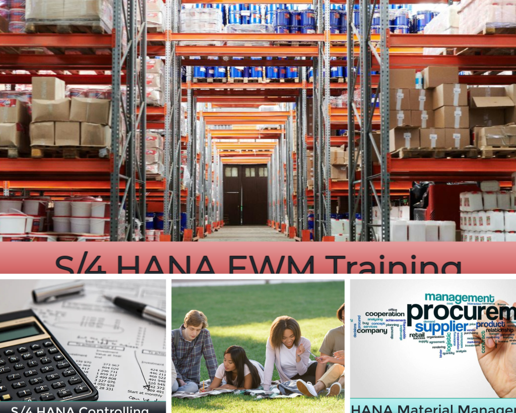 Master SAP Finance: Practical Training for Effective Accounting