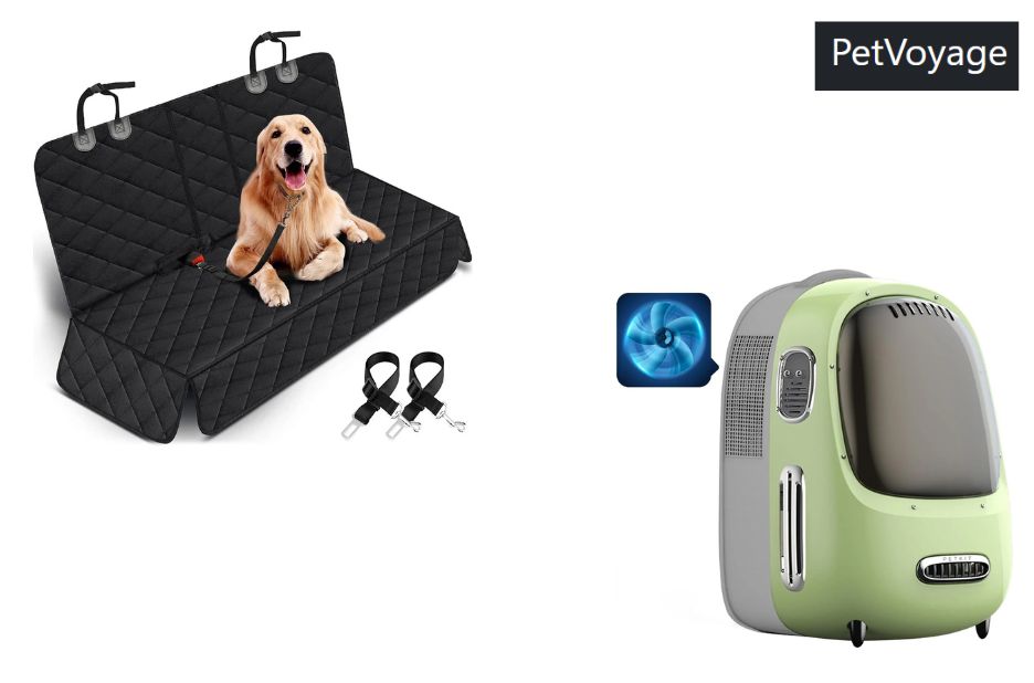 Pet travel rules for Mexico and the USA Pet travel rules for Mexico and the USA