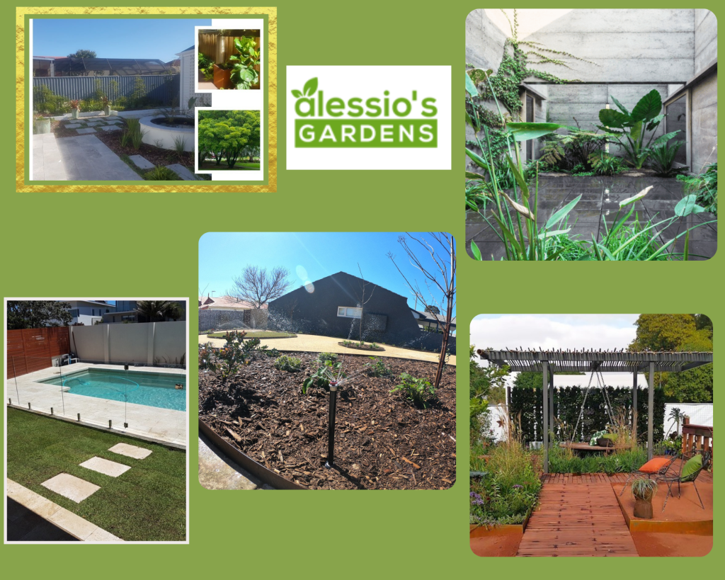 Choosing Spaces: Pot Plants by the Poolside Choosing Spaces: Pot Plants by the Poolside