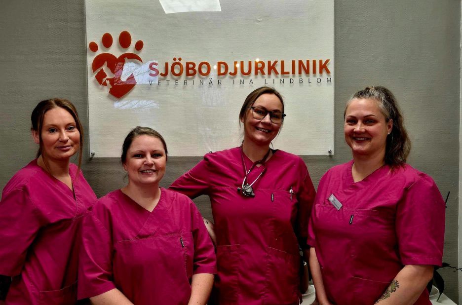 Avliva hund Simrishamn – Trygg och medkännande djuravlivning i Simrishamn Avliva hund Simrishamn – Trygg och medkännande djuravlivning i Simrishamn