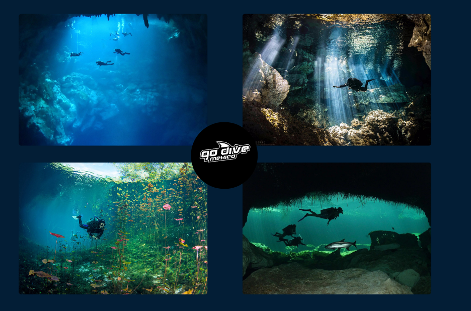 Exploring the Hidden Cenotes: A Guide for Adventurers Exploring the Hidden Cenotes: A Guide for Adventurers