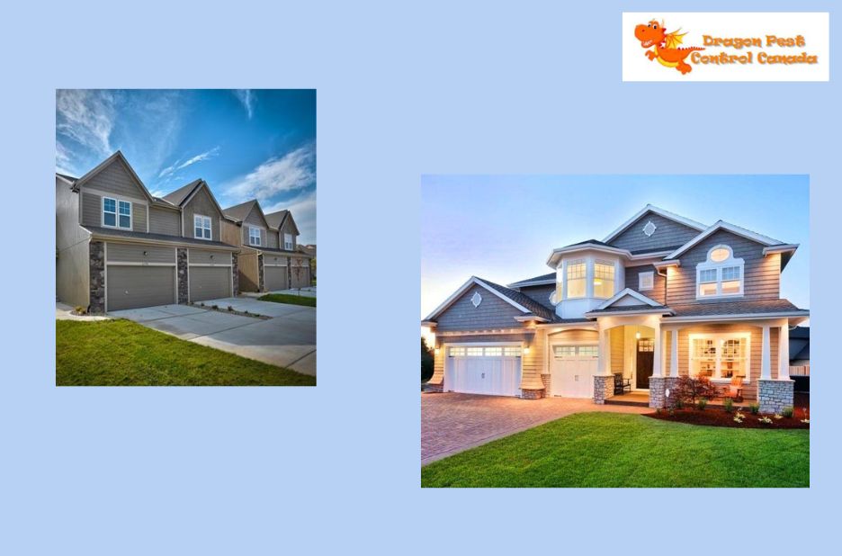 Effective pest control solutions in Edmonton Effective pest control solutions in Edmonton