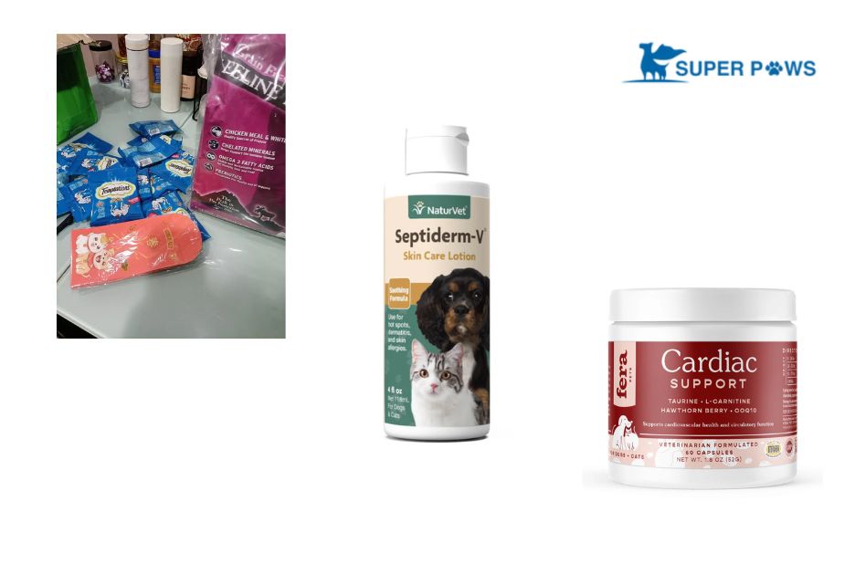Finding a Trusted Source for Pet Essentials and Cat Supplies Finding a Trusted Source for Pet Essentials and Cat Supplies