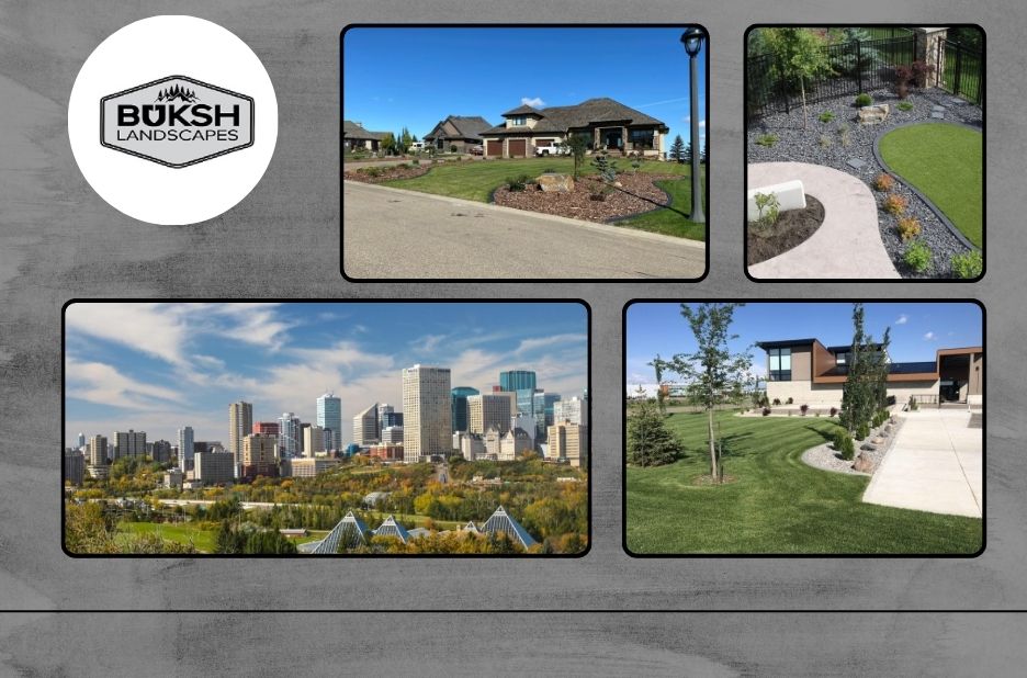 Top Outdoor Lighting Contractors in Edmonton for Expert Design and Installation Top Outdoor Lighting Contractors in Edmonton for Expert Design and Installation
