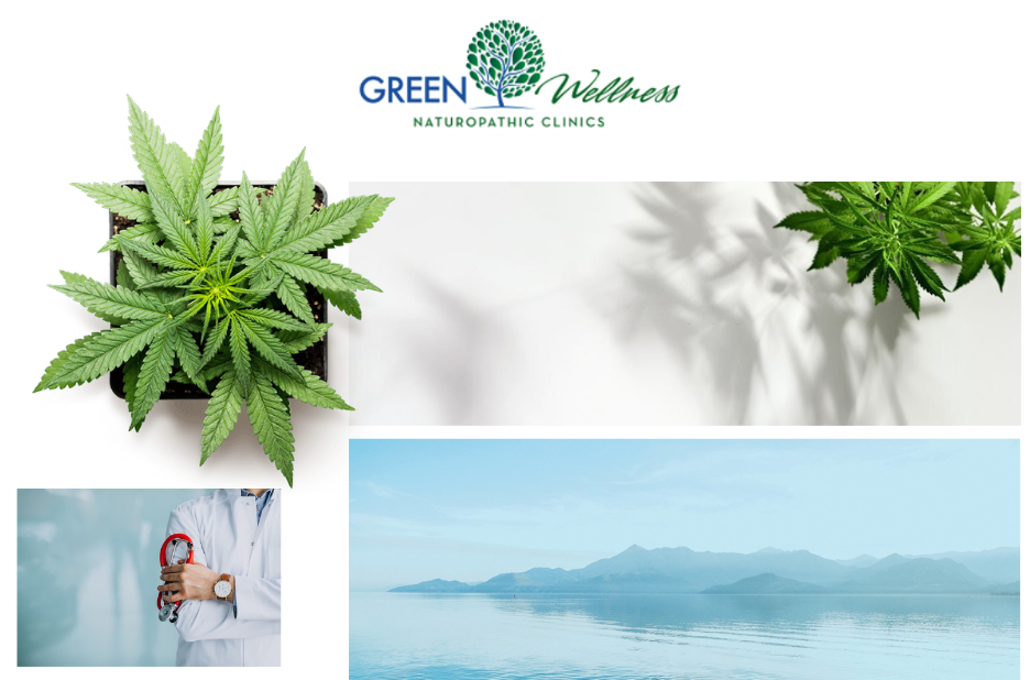 Expert Medical Cannabis Consultation for Natural Health and Wellness Expert Medical Cannabis Consultation for Natural Health and Wellness