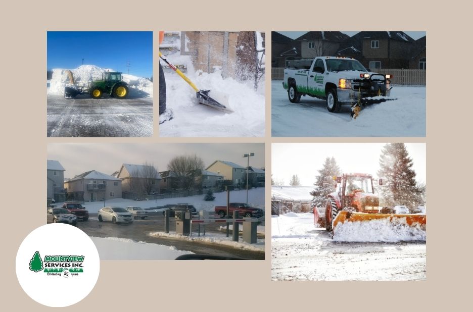 Expert Landscaping Kitchener Services to Transform Your Outdoor Space Expert Landscaping Kitchener Services to Transform Your Outdoor Space