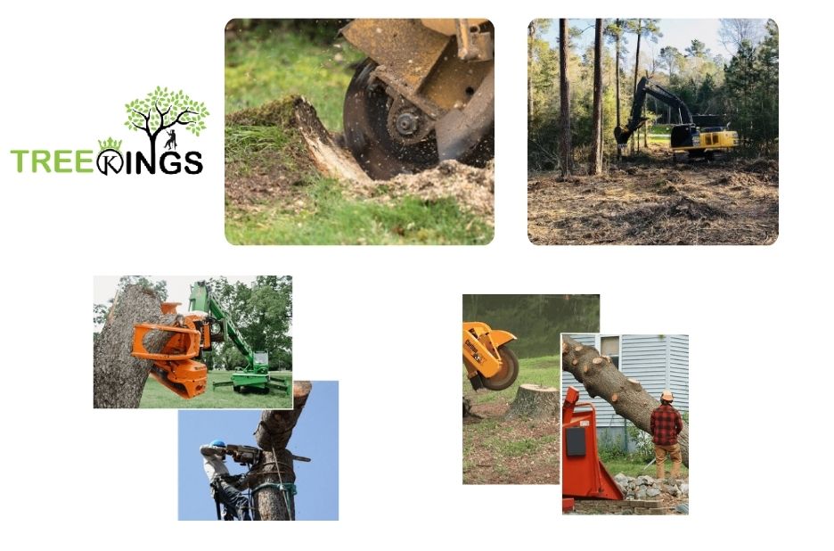 Professional Tree Removal Lalor Services for Safe and Efficient Property Care Professional Tree Removal Lalor Services for Safe and Efficient Property Care